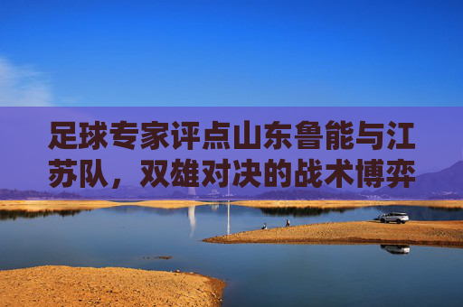 足球专家评点山东鲁能与江苏队，双雄对决的战术博弈与未来展望，足球专家评点山东鲁能与江苏队双雄对决，战术博弈与未来展望