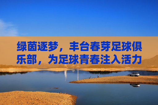 绿茵逐梦,丰台春芽足球俱乐部,为足球青春注入活力,绿茵逐梦,丰台春芽足球俱乐部为足球青春注入活力