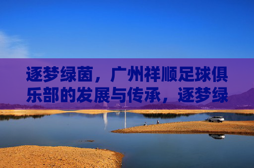 逐梦绿茵,广州祥顺足球俱乐部的发展与传承,逐梦绿茵,广州祥顺足球俱乐部的发展与传承
