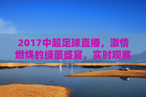 2017中超足球直播,激情燃烧的绿茵盛宴,实时观赛体验的完美呈现