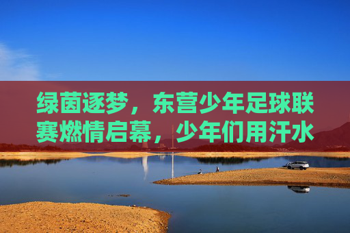 绿茵逐梦，东营少年足球联赛燃情启幕，少年们用汗水书写足球青春，绿茵逐梦，东营少年足球联赛燃情启幕，少年汗水铸就足球青春