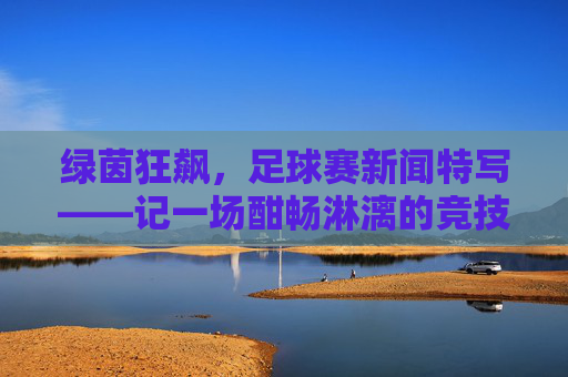 绿茵狂飙,足球赛新闻特写——记一场酣畅淋漓的竞技盛宴,绿茵狂飙,足球赛新闻特写——记一场酣畅淋漓的竞技盛宴