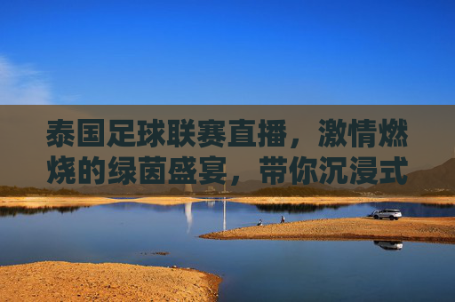 泰国足球联赛直播，激情燃烧的绿茵盛宴，带你沉浸式体验泰超魅力