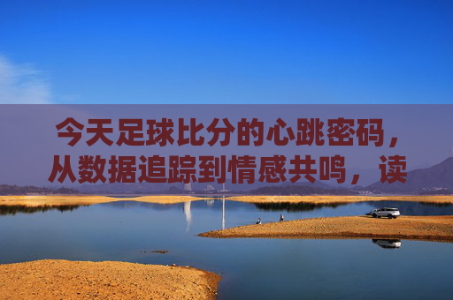 今天足球比分的心跳密码，从数据追踪到情感共鸣，读懂每一场赛事的温度，今天足球比分的心跳密码，从数据追踪到情感共鸣，读懂每一场赛事的温度