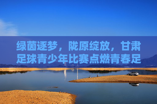 绿茵逐梦，陇原绽放，甘肃足球青少年比赛点燃青春足球活力