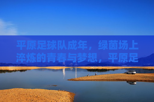 平原足球队成年,绿茵场上淬炼的青春与梦想,平原足球队成年,绿茵淬炼的青春与梦想