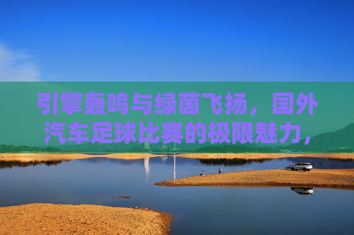 引擎轰鸣与绿茵飞扬,国外汽车足球比赛的极限魅力,引擎轰鸣与绿茵飞扬,国外汽车足球比赛的极限魅力