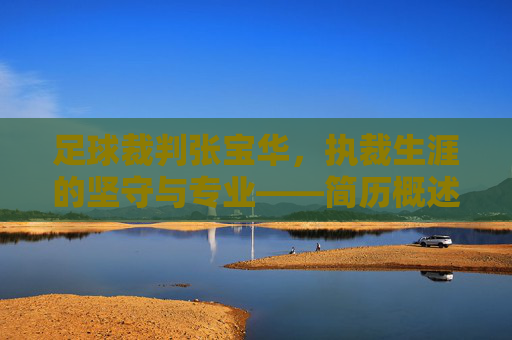 足球裁判张宝华,执裁生涯的坚守与专业——简历概述,足球裁判张宝华,执裁生涯的坚守与专业——简历概述