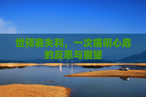 世预赛失利,一次痛彻心扉的反思与展望