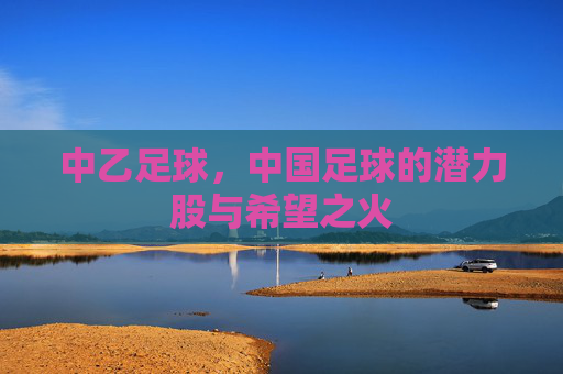 中乙足球,中国足球的潜力股与希望之火