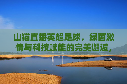 山猫直播英超足球,绿茵激情与科技赋能的完美邂逅,山猫直播英超足球,绿茵激情与科技赋能的完美邂逅