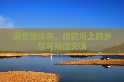 麻豆足球赛,绿茵场上的乡愁与热血交响