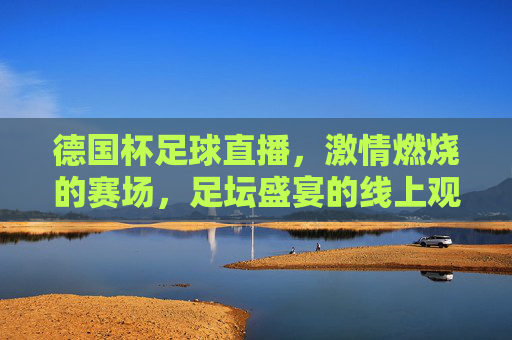 德国杯足球直播，激情燃烧的赛场，足坛盛宴的线上观赛指南
