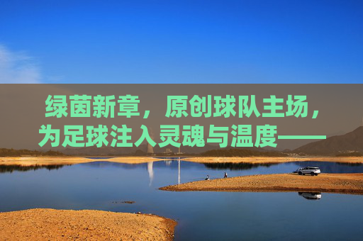 绿茵新章，原创球队主场，为足球注入灵魂与温度——足球原创球队主场的魅力与价值