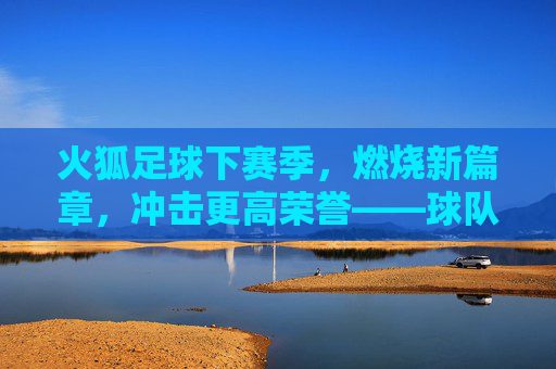 火狐足球下赛季，燃烧新篇章，冲击更高荣誉——球队引援与战术布局深度解析，火狐足球下赛季，燃烧新篇章，冲击更高荣誉——球队引援与战术布局深度解析