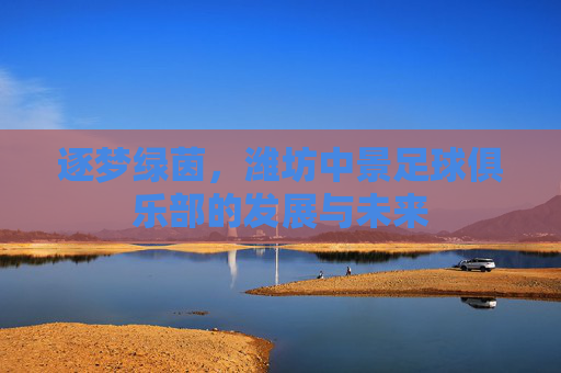 逐梦绿茵，潍坊中景足球俱乐部的发展与未来