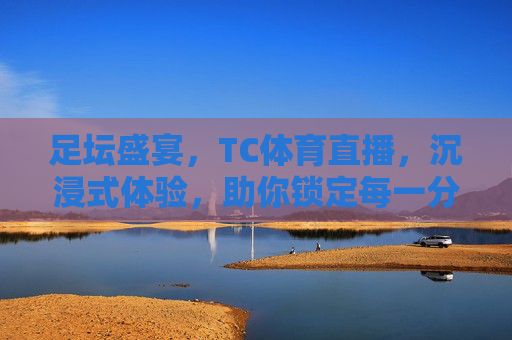足坛盛宴,TC体育直播,沉浸式体验,助你锁定每一分精彩
