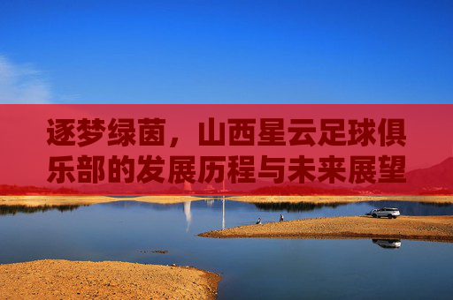 逐梦绿茵，山西星云足球俱乐部的发展历程与未来展望