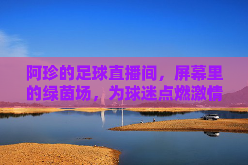 阿珍的足球直播间，屏幕里的绿茵场，为球迷点燃激情的解说活化石