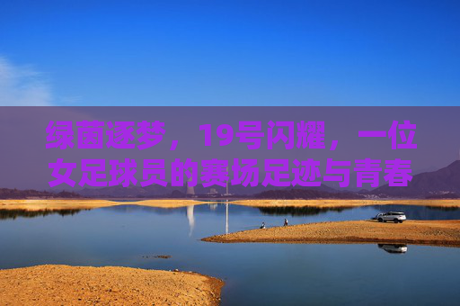 绿茵逐梦,19号闪耀,一位女足球员的赛场足迹与青春故事