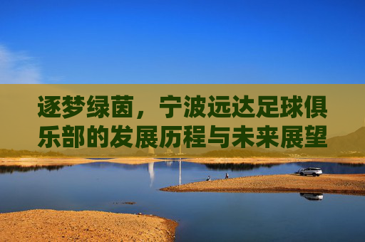 逐梦绿茵,宁波远达足球俱乐部的发展历程与未来展望