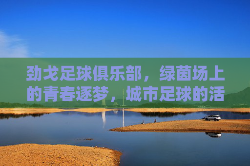 劲戈足球俱乐部,绿茵场上的青春逐梦,城市足球的活力脉搏