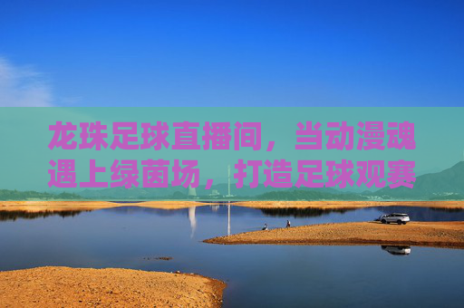 龙珠足球直播间，当动漫魂遇上绿茵场，打造足球观赛新体验
