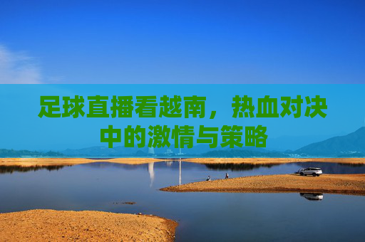足球直播看越南，热血对决中的激情与策略