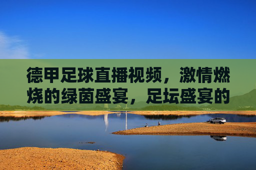 德甲足球直播视频，激情燃烧的绿茵盛宴，足坛盛宴的实时观赛指南
