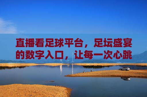 直播看足球平台，足坛盛宴的数字入口，让每一次心跳都同步赛场，直播看足球平台，足坛盛宴的数字入口，让每一次心跳都同步赛场