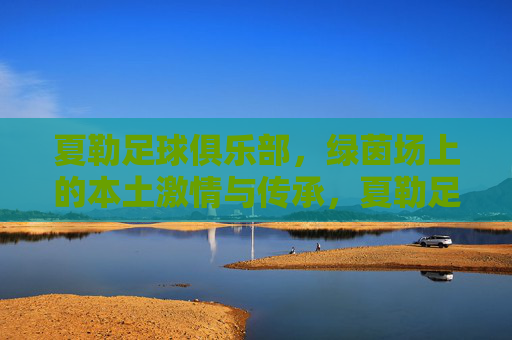 夏勒足球俱乐部，绿茵场上的本土激情与传承，夏勒足球俱乐部，绿茵场上的本土激情与传承