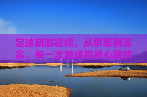 足球到脚视频,从屏幕到现实,每一次触球都是心跳的共鸣