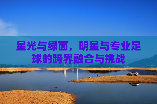 星光与绿茵,明星与专业足球的跨界融合与挑战