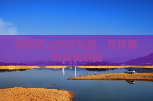 绿茵场上的诗与画,足球赛的优美瞬间