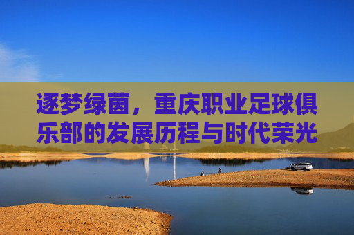 逐梦绿茵，重庆职业足球俱乐部的发展历程与时代荣光