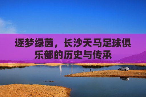 逐梦绿茵，长沙天马足球俱乐部的历史与传承