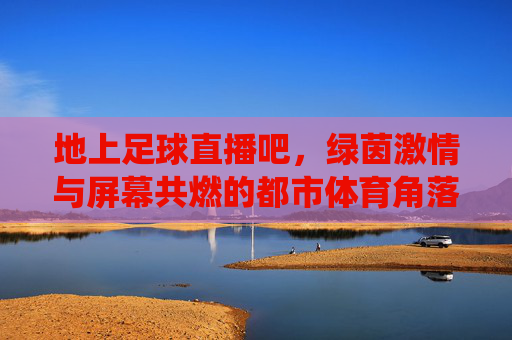 地上足球直播吧，绿茵激情与屏幕共燃的都市体育角落——不止是看球，更是情怀的栖息地