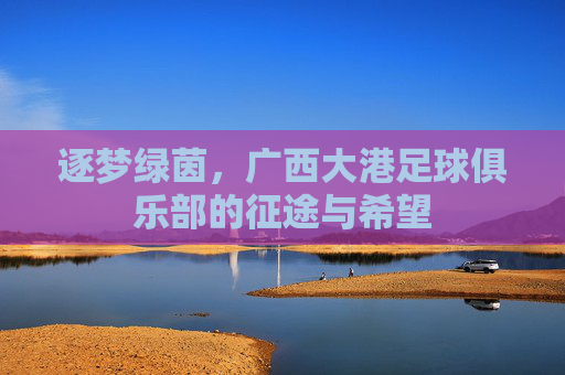 逐梦绿茵，广西大港足球俱乐部的征途与希望