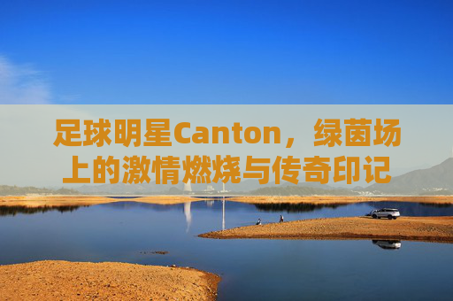 足球明星Canton，绿茵场上的激情燃烧与传奇印记