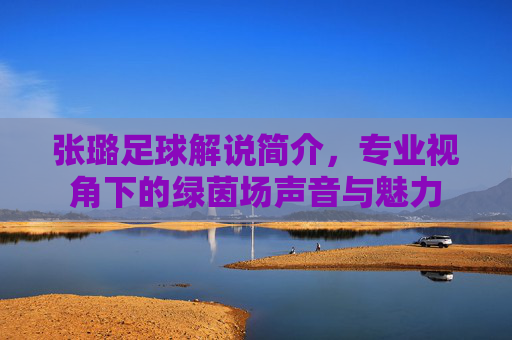 张璐足球解说简介,专业视角下的绿茵场声音与魅力