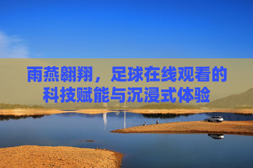 雨燕翱翔,足球在线观看的科技赋能与沉浸式体验