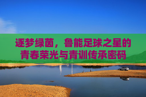 逐梦绿茵,鲁能足球之星的青春荣光与青训传承密码