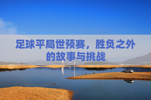 足球平局世预赛,胜负之外的故事与挑战