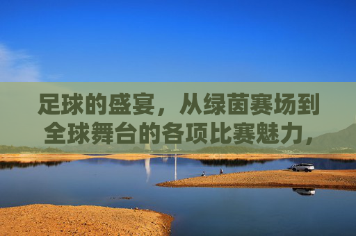 足球的盛宴，从绿茵赛场到全球舞台的各项比赛魅力，足球的盛宴，从绿茵赛场到全球舞台的各项比赛魅力