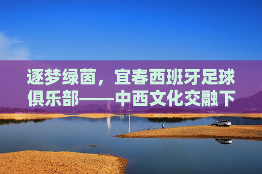 逐梦绿茵,宜春西班牙足球俱乐部——中西文化交融下的足球新篇章