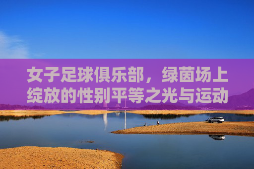 女子足球俱乐部，绿茵场上绽放的性别平等之光与运动力量，女子足球俱乐部，绿茵场上绽放的性别平等之光与运动力量