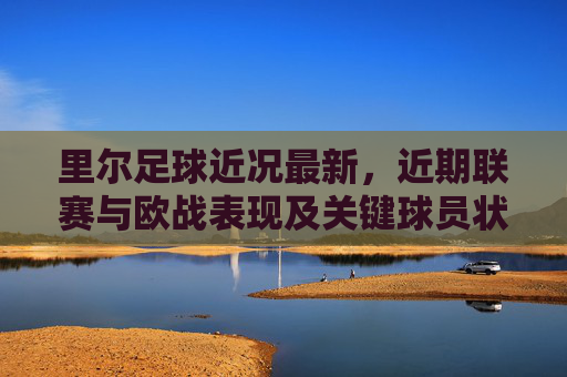 里尔足球近况最新，近期联赛与欧战表现及关键球员状态解析