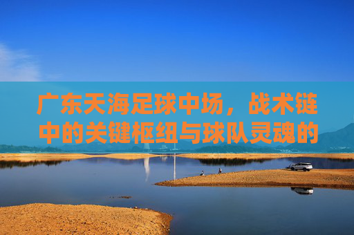 广东天海足球中场，战术链中的关键枢纽与球队灵魂的传承者，广东天海足球中场，战术链中的关键枢纽与球队灵魂的传承者