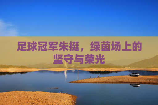 足球冠军朱挺,绿茵场上的坚守与荣光