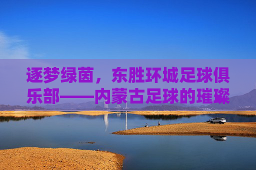 逐梦绿茵,东胜环城足球俱乐部——内蒙古足球的璀璨明珠与青春力量